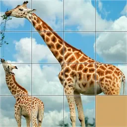 game Animals Slide Puzzle