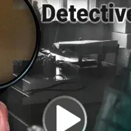 game Detective Photo Difference Game