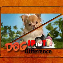 game Dog Spot the Difference