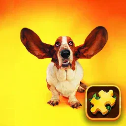 game Funny Dogs Puzzle