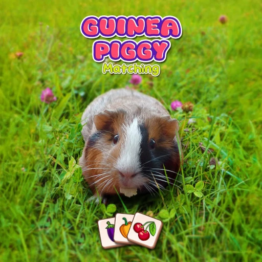 game Guinea Piggy Matching