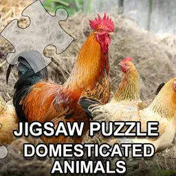 game Jigsaw Puzzle Domesticated Animals