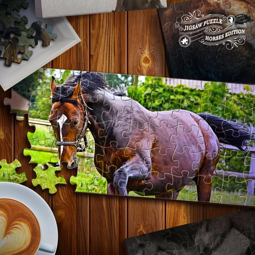 game Jigsaw Puzzle Horses Edition