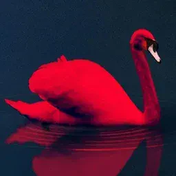 game Love Birds Puzzle