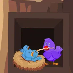 game Pink bird recuse