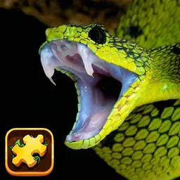 game Snake Puzzle Challenge