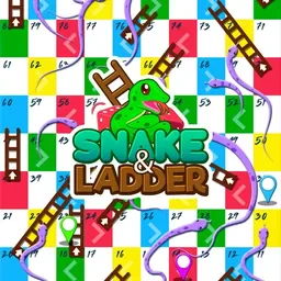 game Snakes and Ladders : the game