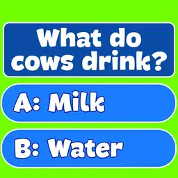 Trivia! Best family quiz Trivia! Best family quiz