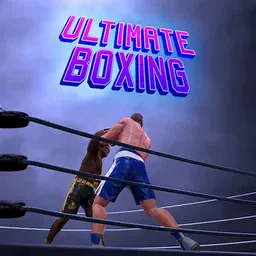 game Ultimate Boxing Game