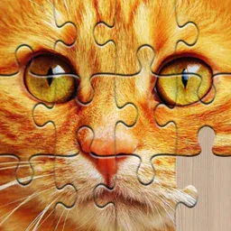 game Unlimited Puzzles